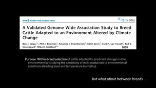 The mosaic genome of African cattle: A unique adaptive genetic resource