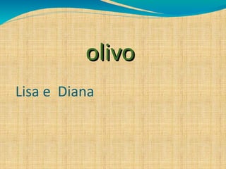 olivoolivo
Lisa e Diana
 
