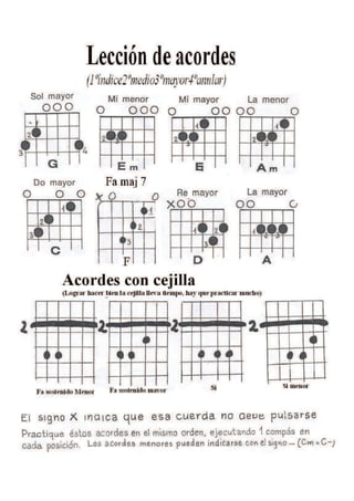 Olivos del sol 5 grado