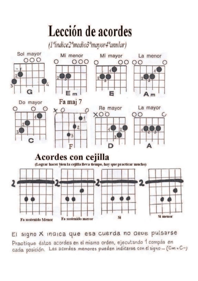 Olivos del sol 5 grado