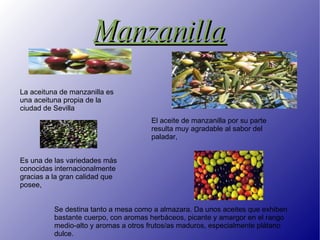 Manzanilla La aceituna de manzanilla es una aceituna propia de la ciudad de Sevilla El aceite de manzanilla por su parte resulta muy agradable al sabor del paladar, Es una de las variedades más conocidas internacionalmente gracias a la gran calidad que posee, Se destina tanto a mesa como a almazara. Da unos aceites que exhiben bastante cuerpo, con aromas herbáceos, picante y amargor en el rango medio-alto y aromas a otros frutos/as maduros, especialmente plátano dulce. 