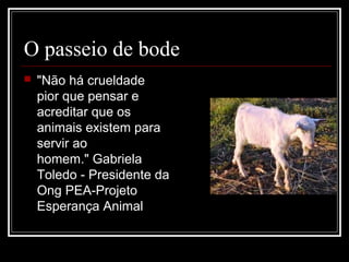O passeio de bode
 "Não há crueldade
pior que pensar e
acreditar que os
animais existem para
servir ao
homem." Gabriela
Toledo - Presidente da
Ong PEA-Projeto
Esperança Animal
 