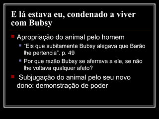 E lá estava eu, condenado a viver
com Bubsy
 Apropriação do animal pelo homem
 “Eis que subitamente Bubsy alegava que Barão
lhe pertencia”. p. 49
 Por que razão Bubsy se aferrava a ele, se não
lhe voltava qualquer afeto?
 Subjugação do animal pelo seu novo
dono: demonstração de poder
 