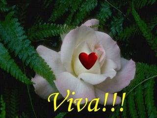 Viva!!! 