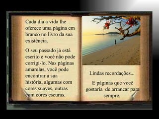 Cada dia a vida lhe oferece uma página em branco no livro da sua existência. O seu passado já está escrito e você não pode corrigi-lo. Nas páginas amarelas, você pode encontrar a sua história, algumas com cores suaves, outras com cores escuras. Lindas recordações...  E páginas que você gostaria  de arrancar para sempre.  