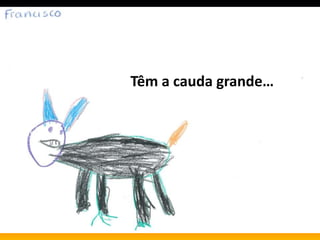 Têm a cauda grande…
 