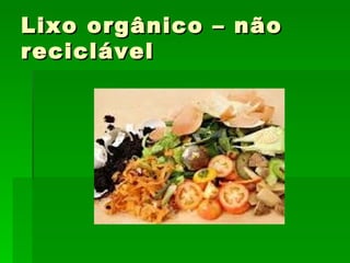 Lixo orgânico – não reciclável 