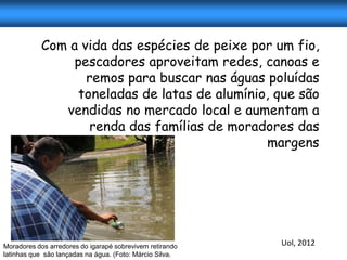 Com a vida das espécies de peixe por um fio,
                pescadores aproveitam redes, canoas e
                  remos para buscar nas águas poluídas
                 toneladas de latas de alumínio, que são
              vendidas no mercado local e aumentam a
                   renda das famílias de moradores das
                                               margens




Moradores dos arredores do igarapé sobrevivem retirando   Uol, 2012
latinhas que são lançadas na água. (Foto: Márcio Silva)
 
