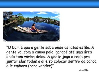 “O bom é que a gente sabe onde as latas estão. A
gente vai com a canoa pelo igarapé até uma área
onde tem várias delas. A gente joga a rede pra
juntar elas todas e aí é só colocar dentro da canoa
e ir embora (para vender)”
                                        Uol, 2012
 