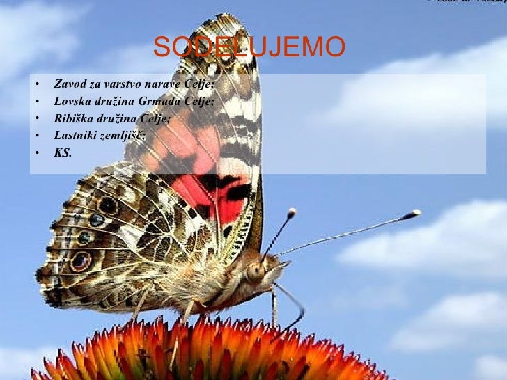 Ekoizziv 2009/10 OŠ Ljubečna 2