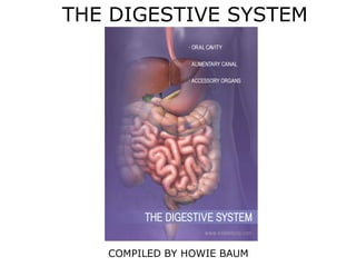 THE DIGESTIVE SYSTEM
COMPILED BY HOWIE BAUM
 