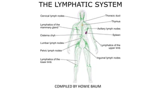 THE LYMPHATIC SYSTEM
COMPILED BY HOWIE BAUM
 