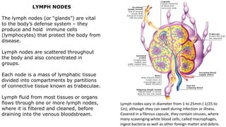 The Lymphatic System.pdf