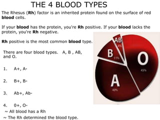 OLLI Circulatory_System.pdf