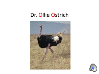 Dr. Ollie Ostrich
 