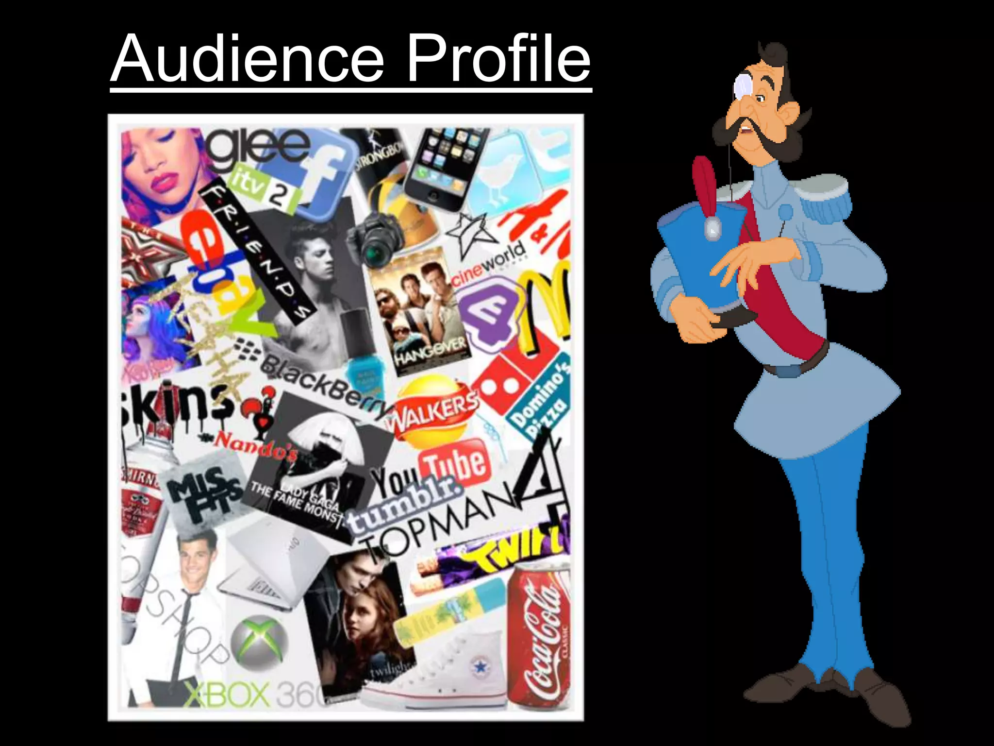 Audience Profile