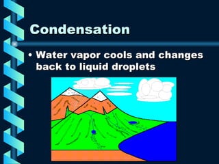 Condensation Water vapor cools and changes back to liquid droplets 