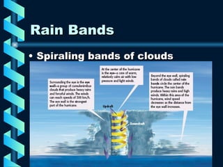Rain Bands Spiraling bands of clouds 