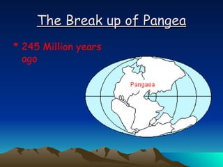 The Break up of Pangea 245 Million years ago 
