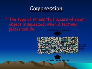 Compression The type of stress that occurs when an object is squeezed, when 2 tectonic plates collide 