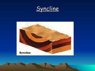 Syncline 