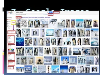 7. Google Images 