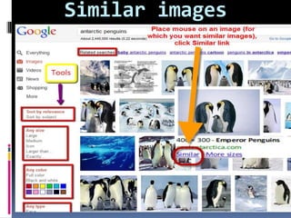 Similar images