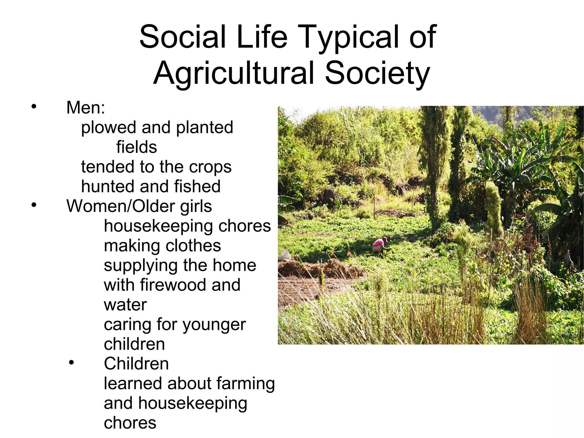 Social Life Typical of  Agricultural Society Men: plowed and planted fields tended to the crops hunted and fished Women/Older girls housekeeping chores making clothes supplying the home with firewood and water caring for younger children Children learned about farming and housekeeping chores 
