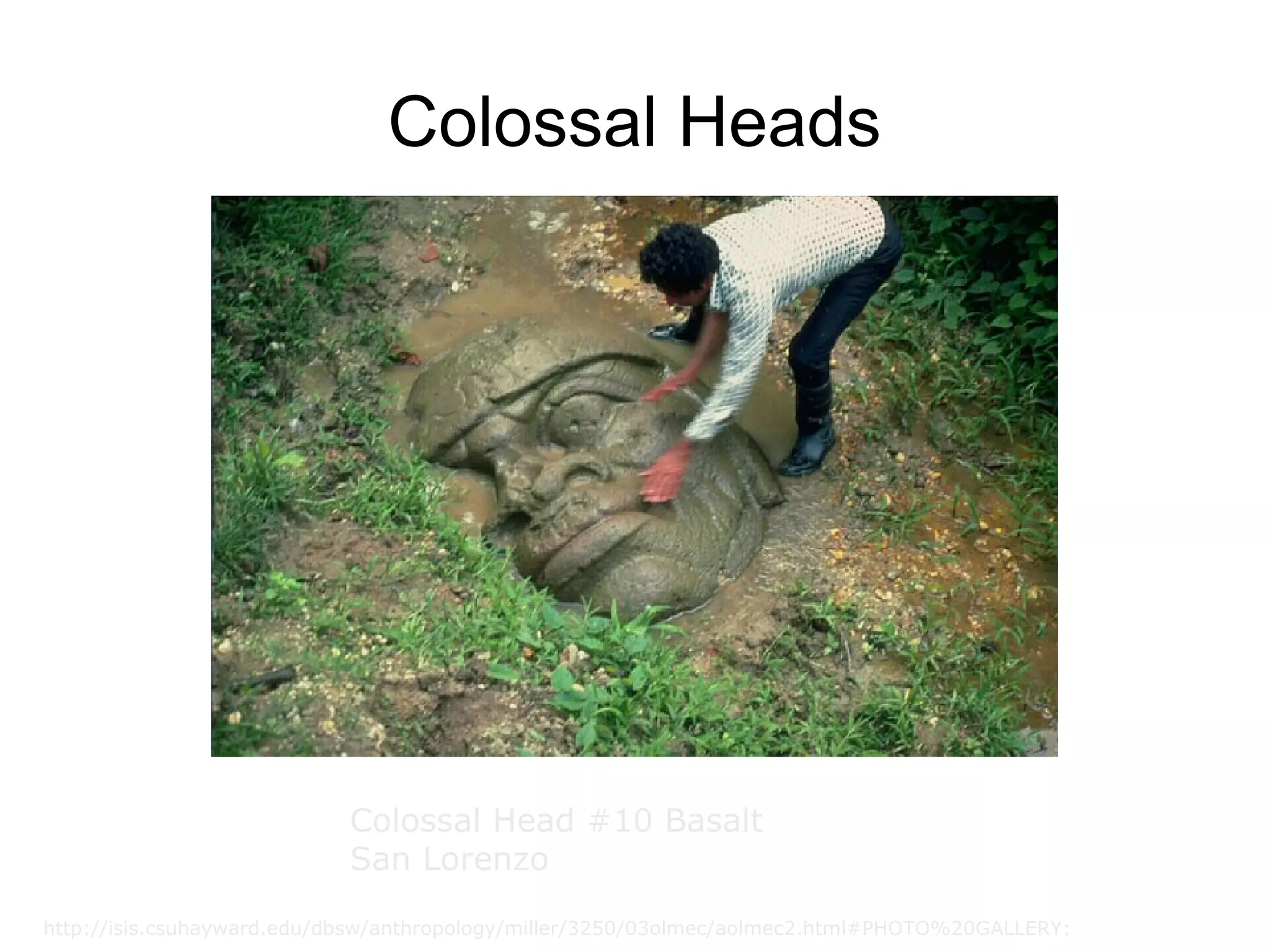 Colossal Heads Colossal Head #10 Basalt  San Lorenzo  http://isis.csuhayward.edu/dbsw/anthropology/miller/3250/03olmec/aolmec2.html#PHOTO%20GALLERY: 