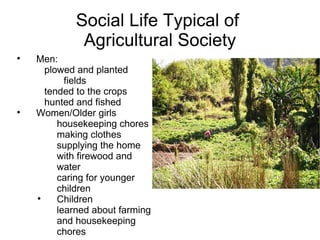 Social Life Typical of  Agricultural Society Men: plowed and planted fields tended to the crops hunted and fished Women/Older girls housekeeping chores making clothes supplying the home with firewood and water caring for younger children Children learned about farming and housekeeping chores 