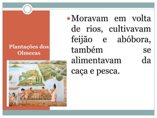  Moravam em volta
de rios, cultivavam
feijão e abóbora,
Plantações dos
Olmecas também se
alimentavam da
caça e pesca.