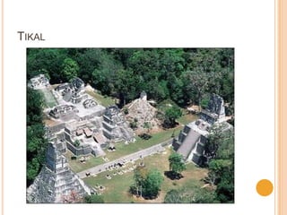 TIKAL
 
