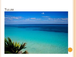 TULUM
 