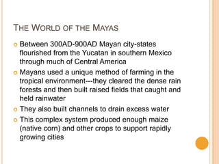 THE WORLD OF THE MAYAS
 Between 300AD-900AD Mayan city-states
flourished from the Yucatan in southern Mexico
through much of Central America
 Mayans used a unique method of farming in the
tropical environment---they cleared the dense rain
forests and then built raised fields that caught and
held rainwater
 They also built channels to drain excess water
 This complex system produced enough maize
(native corn) and other crops to support rapidly
growing cities
 