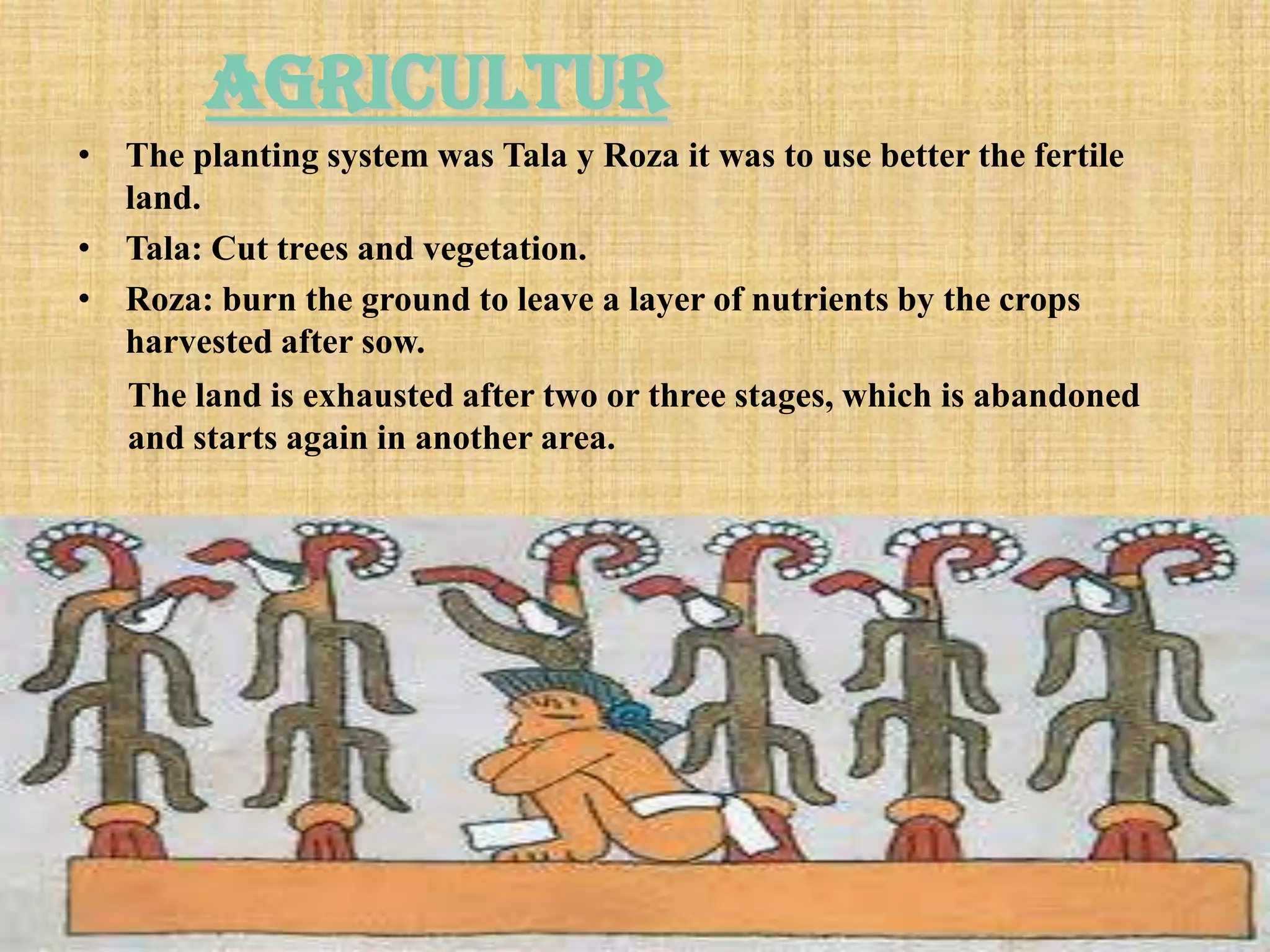 agricultur
• The planting system was Tala y Roza it was to use better the fertile
  land.
• Tala: Cut trees and vegetation.
• Roza: burn the ground to leave a layer of nutrients by the crops
  harvested after sow.
   The land is exhausted after two or three stages, which is abandoned
   and starts again in another area.
 