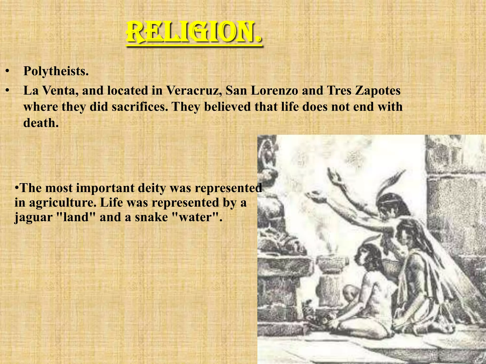 Religion.
• Polytheists.
• La Venta, and located in Veracruz, San Lorenzo and Tres Zapotes
  where they did sacrifices. They believed that life does not end with
  death.



 •The most important deity was represented
 in agriculture. Life was represented by a
 jaguar "land" and a snake "water".
 