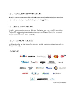Pricing & Revenue Generation Model Of Net Elixir | PDF