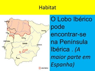 Habitat

    O Lobo Ibérico
    pode
    encontrar-se
    na Península
    Ibérica . (A
    maior parte em
    Espanha)
 