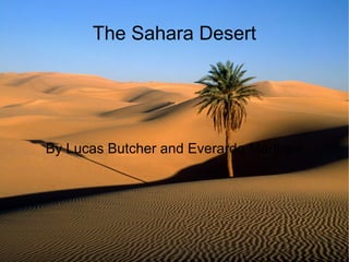 The Sahara Desert By Lucas Butcher and Everardo Martinez 