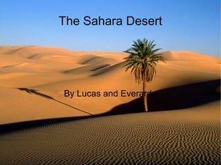 The Sahara Desert By Lucas and Everardo 