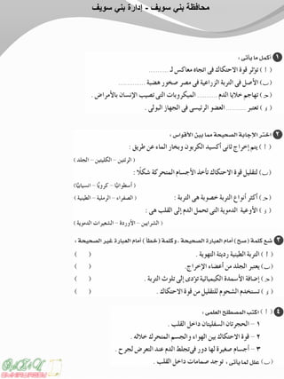 ‫سويف‬ ‫بني‬ ‫محافظة‬-‫سويف‬ ‫بني‬ ‫إدارة‬
 