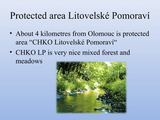 Protected area Litovelské Pomoraví
• About 4 kilometres from Olomouc is protected
area “CHKO Litovelské Pomoraví“
• CHKO LP is very nice mixed forest and
meadows

 