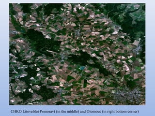CHKO Litovelské Pomoraví (in the middle) and Olomouc (in right bottom corner)

 