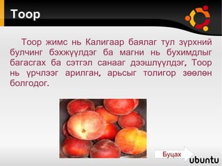 Тоор Тоор жимс нь Калигаар баялаг тул зүрхний булчинг бэхжүүлдэг ба магни нь бухимдлыг багасгах ба сэтгэл санааг дээшлүүлдэг, Тоор нь үрчлээг арилган, арьсыг толигор зөөлөн болгодог. Буцах 