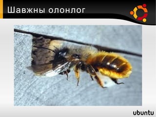 Шавжны олонлог 