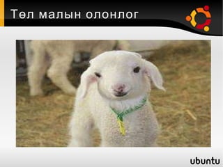 Төл малын олонлог 