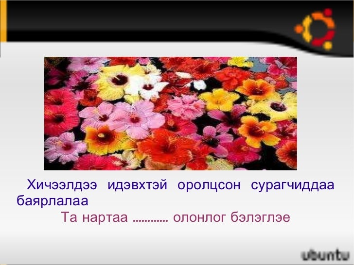 Olonlog