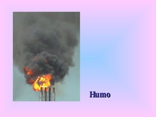 Humo