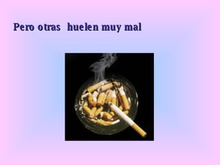 Pero otras huelen muy mal