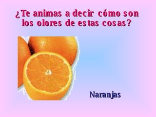 ¿Te animas a decir cómo son los olores de estas cosas? Naranjas